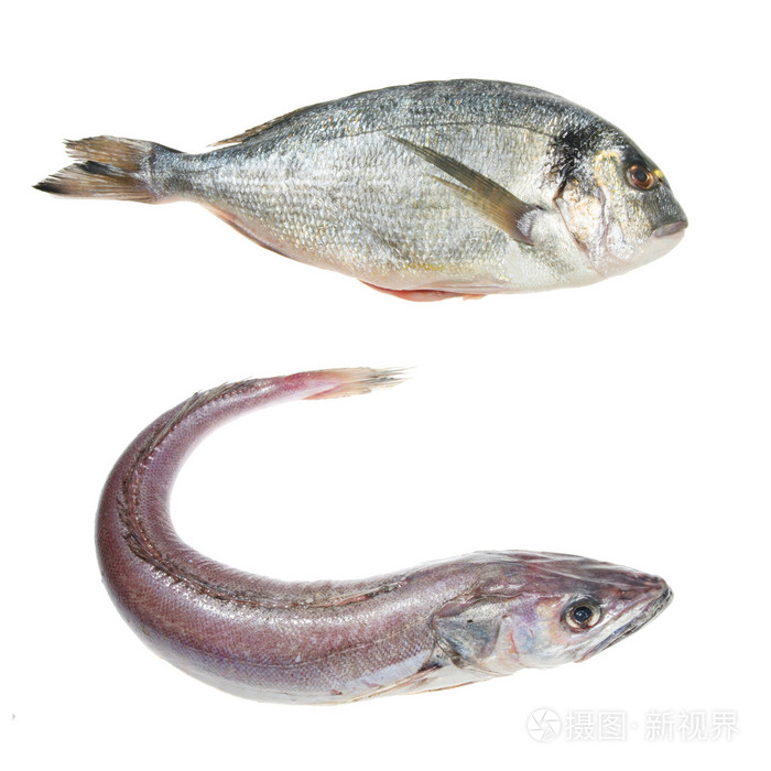 无须鳕和海鲷鱼照片 正版商用图片1aphh2 摄图新视界