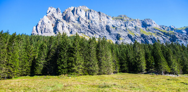 伯尔尼阿尔卑斯山