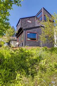黑色木现代房子与春天后院