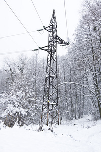 雪林