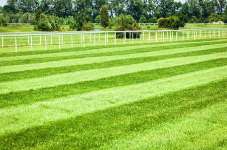 赛马跑道图片