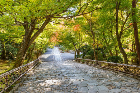 伯林 日本人 信仰 日本 消息 枯山水 神道教 佛教徒 砾石