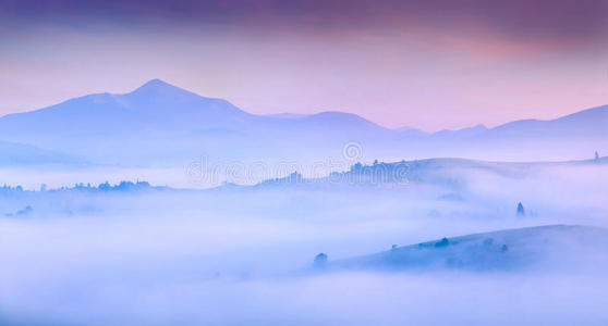 全景图 瑟伦 早晨 环境 颜色 黎明 黄昏 阿尔卑斯山 森林