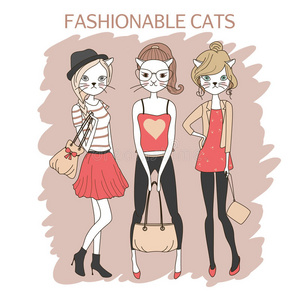 时尚女孩猫