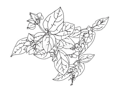 青团手绘图片-青团手绘素材-青团手绘插画-摄图新视界