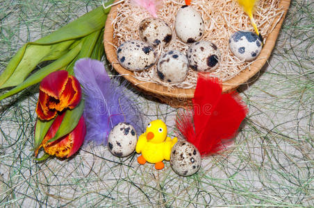 小鸡和复活节彩蛋。