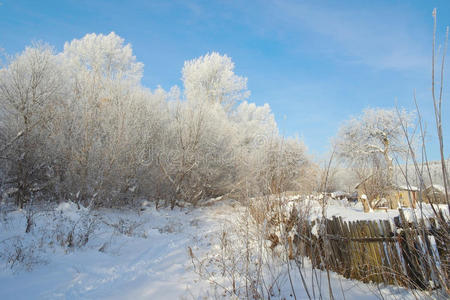 美丽的冬季乡村景观