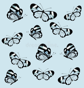 无缝图案蝴蝶透明翅膀。