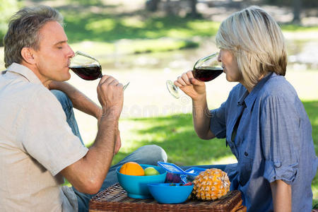 一对夫妇在公园喝红酒图片