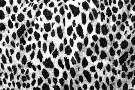 黑白豹纹图片