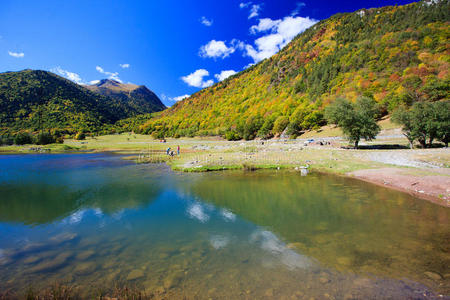 美丽山中的小山湖