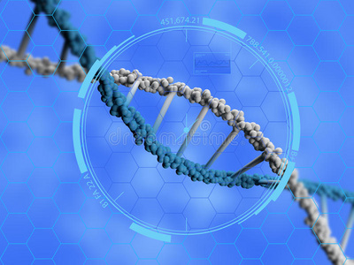 插图 基因 生物 螺旋线 染色体 生物学 健康 进化 克隆
