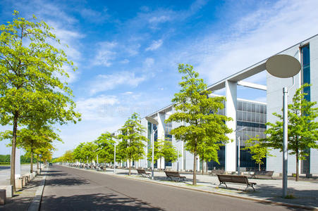 树木与天空的现代城市景观