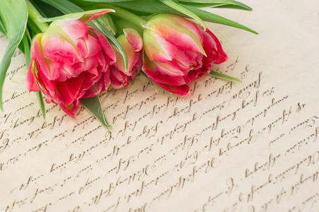 柔和的粉红色郁金香和旧的手写情书
