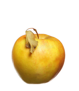 很完美 苹果 健康 瑞典 生态学 水果 营养 自然 食物