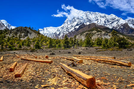 喜马拉雅山景观中的木材