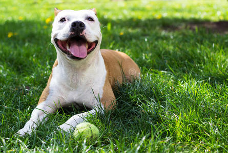 女人流口水图片