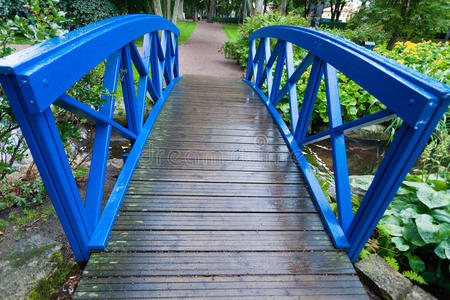花园里小溪上的蓝色小桥。自然。