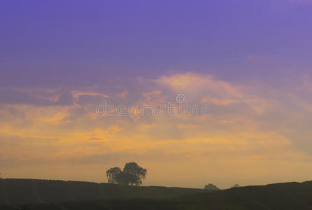 日出的天空和孤独的树图片