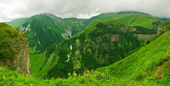 青山全景