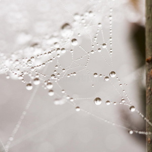 用水滴蜘蛛网和圆桶的抽象构图