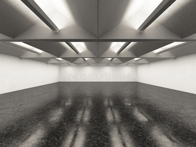 空的画廊内部有深色地板