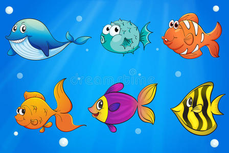 海底各种各样的鱼