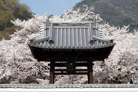 日本寺庙屋顶