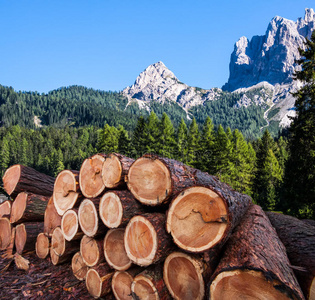 奥地利阿尔卑斯山的木材采伐