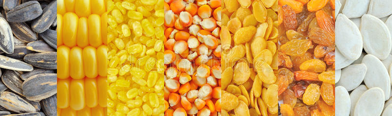 玉米，大豆，葡萄干，葵花籽，南瓜子