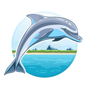 海洋背景上的海豚