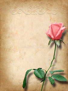 复古贺卡，用粉色玫瑰表示祝贺