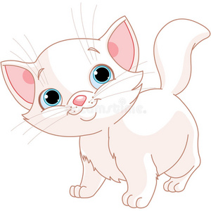 免扣猫白色小猫照片