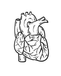 医疗保健粉笔图片-医疗保健粉笔素材-医疗保健粉笔插画-摄图新视界