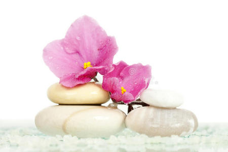 温泉石和粉色花朵图片