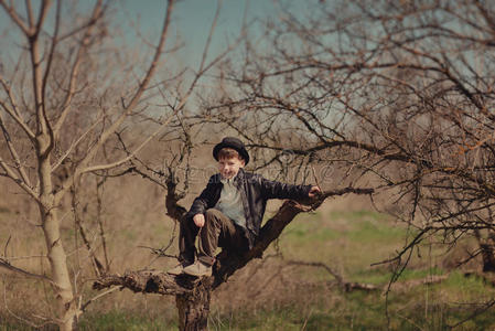 坐在树上的男孩