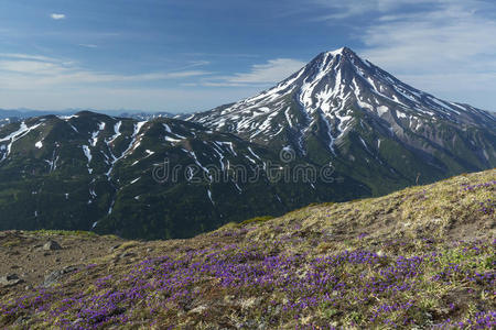 维鲁钦斯基火山