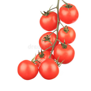 西红柿和樱桃的成分。