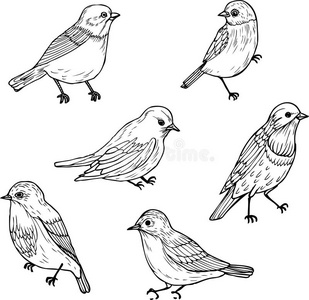 线性观赏羽毛画图片