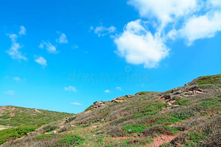 青山蓝天