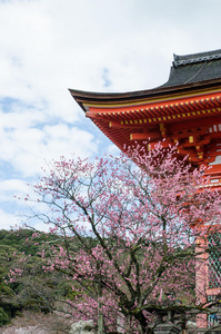 清水正孝寺门图片