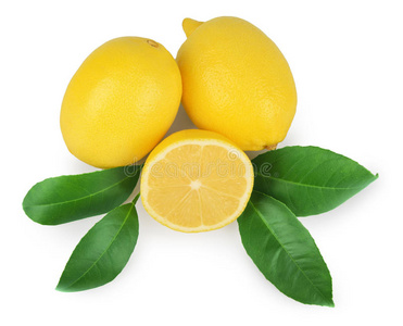 白底柠檬叶