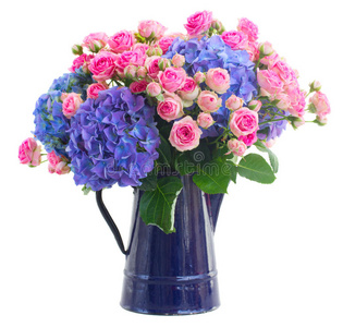 一束新鲜的粉红色玫瑰和蓝色的荷兰花