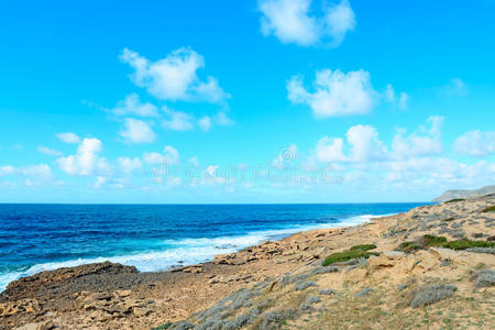 黄色海岸线