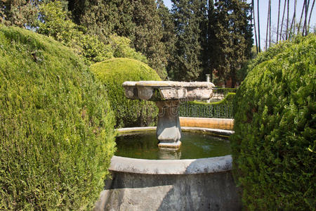 带喷泉的正式花园