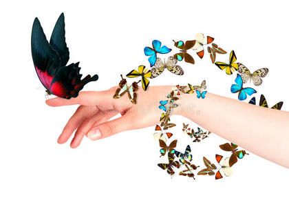 飞蝴蝶的女人蝴蝶在女人手上.运动中照片