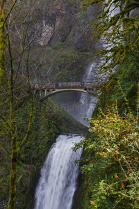 俄勒冈州multnomah falls