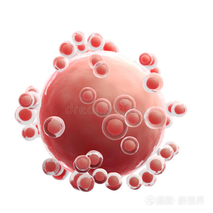 人类卵细胞特写