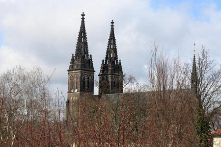 维舍拉大教堂景观