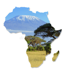 非洲野生动物地图设计图片